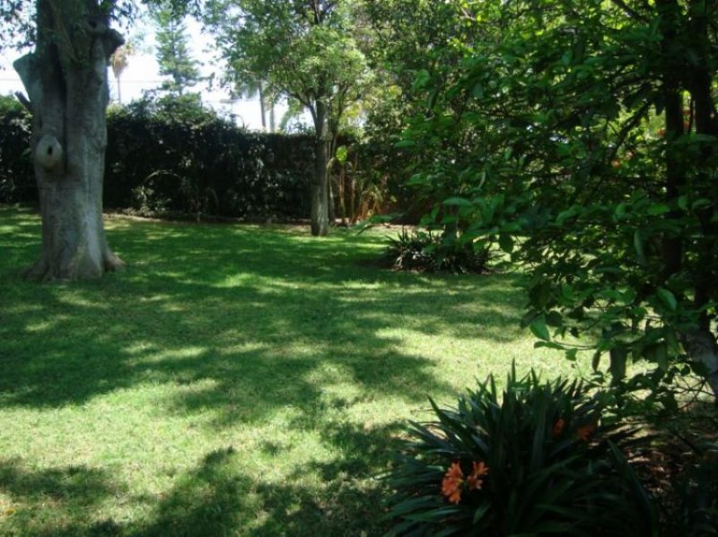 Foto Terreno en Venta en VISTA HERMOSA, Cuernavaca, Morelos - $ 5.500 - TEV20463 - BienesOnLine