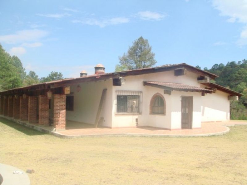 Foto Terreno en Venta en San Andrés Ixtlán, Jalisco - 220 hectareas - U$D 2.500.000 - TEV21304 - BienesOnLine