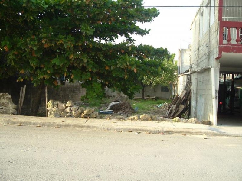 Foto Terreno en Venta en Tulum, Quintana Roo - $ 780.000 - TEV15922 - BienesOnLine