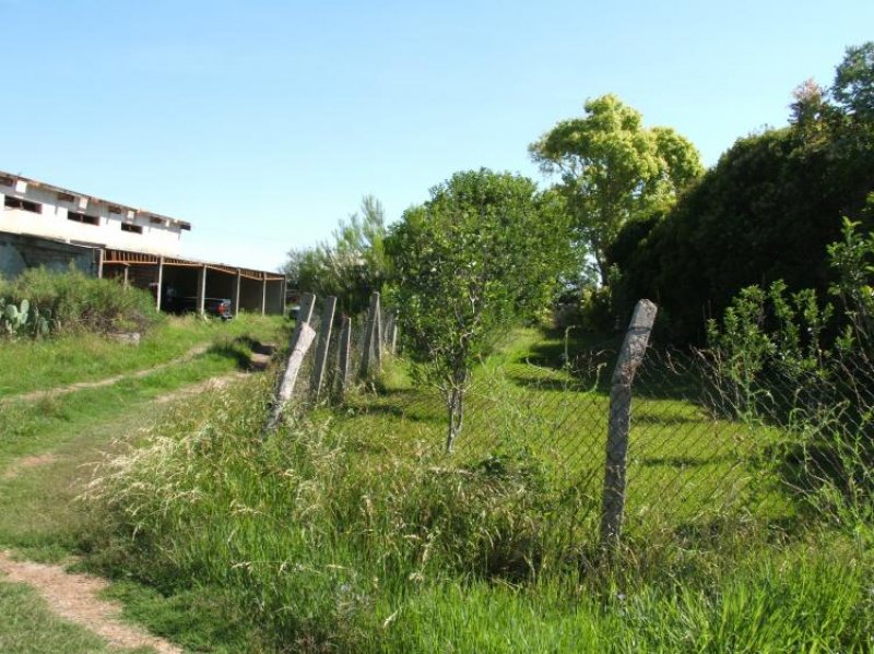 Foto Rancho en Venta en Fresnillo, Zacatecas - 18 hectareas - $ 4.650.000 - RAV12268 - BienesOnLine