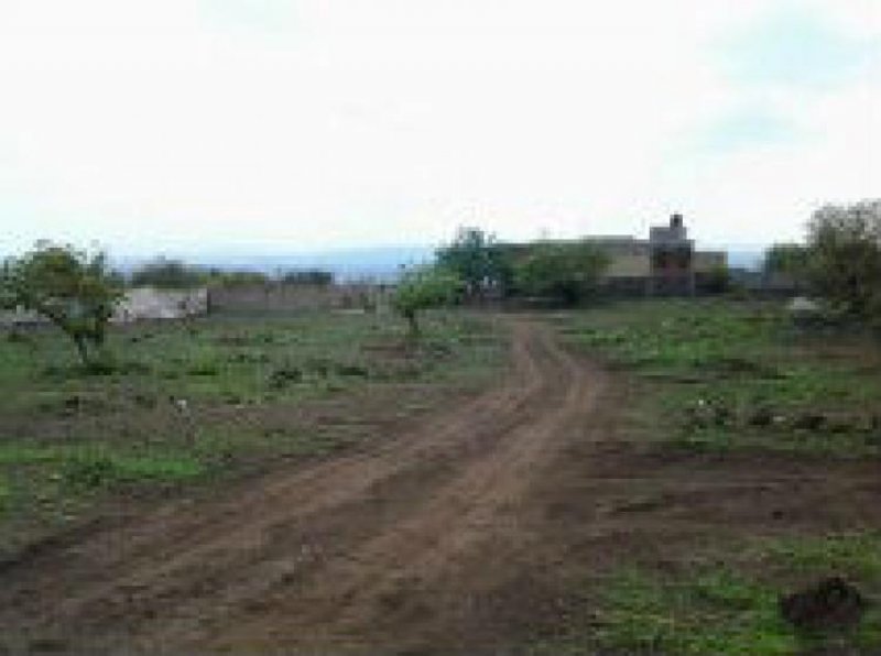 Foto Terreno en Venta en fincas de tlayacapan, Tlayacapan, Morelos - $ 4.200.000 - TEV98356 - BienesOnLine