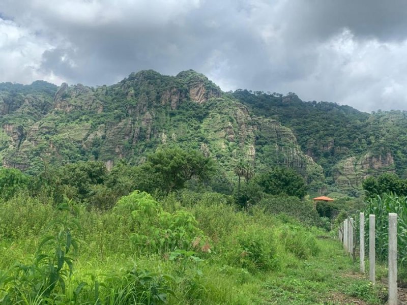 Foto Terreno en Venta en Valle de Atongo, Tepoztlán, Morelos - $ 3.500 - TEV283471 - BienesOnLine