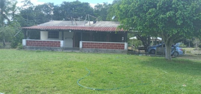 Rancho en Venta en ZONA AGROPECUARIA DE CANCUN Leona Vicario, Quintana Roo