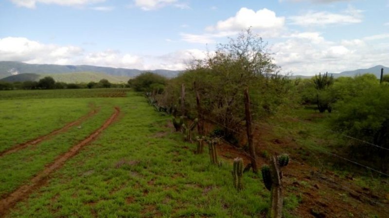 Rancho en Venta en El Colorado Lote 1 Ex Hacienda de San Rafael Rioverde, San Luis Potosi