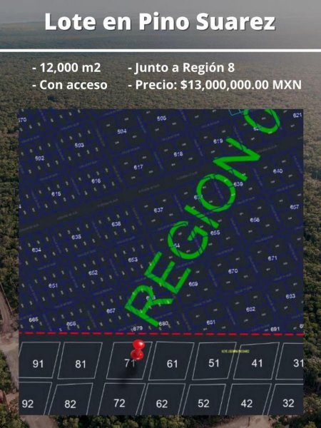 Foto Terreno en Venta en Tulum, Quintana Roo - $ 13.000.000 - TEV333698 - BienesOnLine