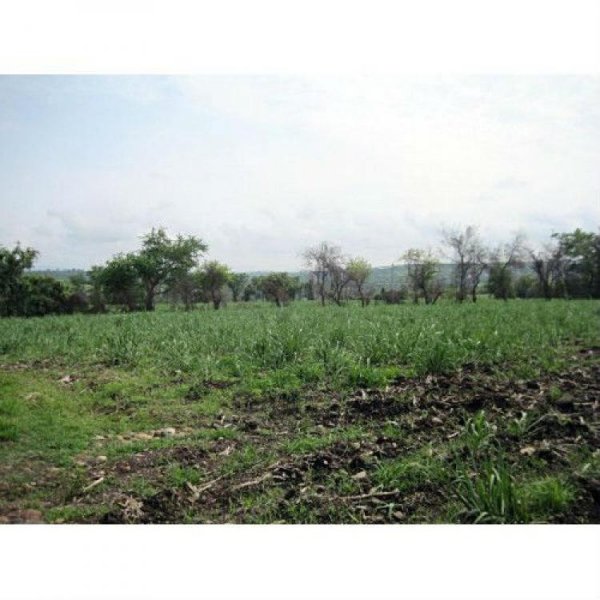 Foto Terreno en Venta en Puente de Ixtla, Morelos - $ 1.860.000 - TEV110322 - BienesOnLine