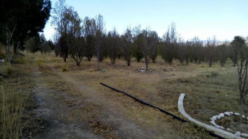 Rancho en Venta en Zempoala, Centro Zempoala, Hidalgo