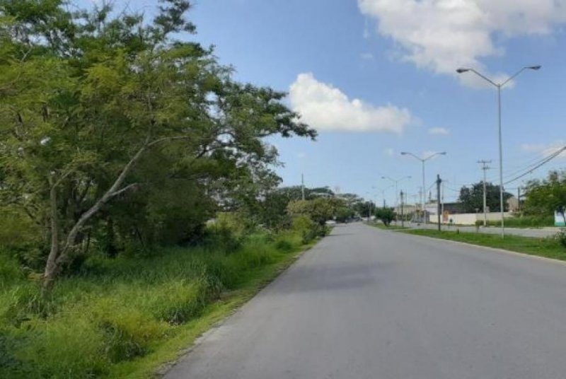 Foto Terreno en Venta en CHUBURNA DE HIDALGO, Mérida, Yucatan - $ 420.000 - TEV306433 - BienesOnLine