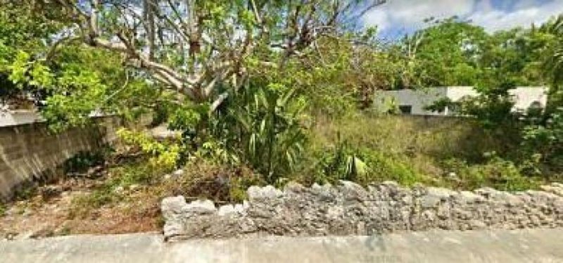 Foto Terreno en Venta en Tizimín, Yucatan - $ 168.000 - TEV306058 - BienesOnLine