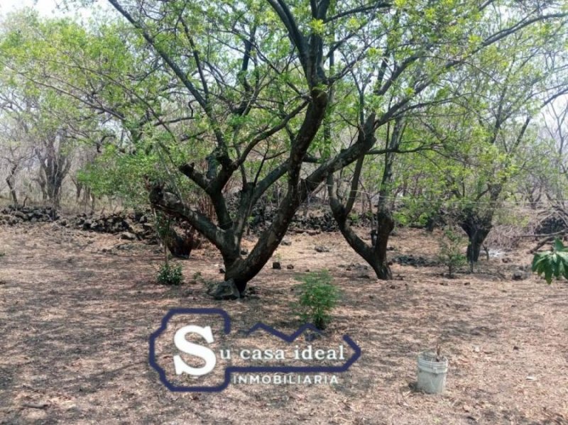 Terreno en Venta en COLONIA CHISCO Tepoztlán, Morelos