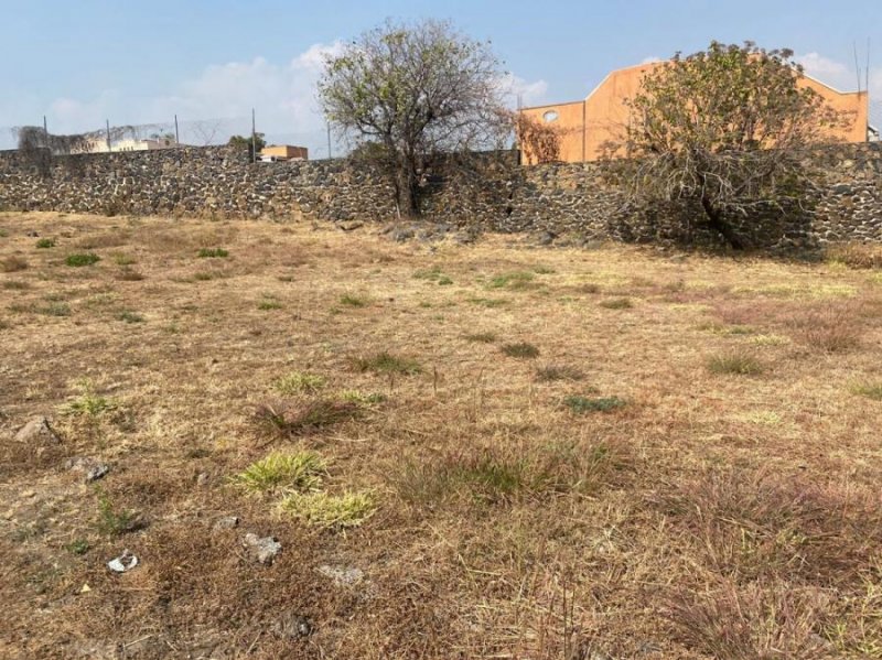 Terreno en Venta en RANCHO CORREA Tlayacapan, Morelos