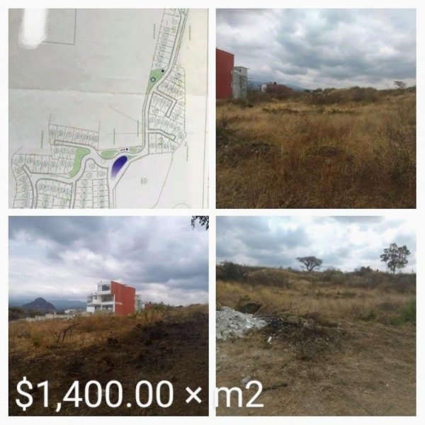 Excelente Terreno en Venta Ubicado en Tlayacapan Mor.