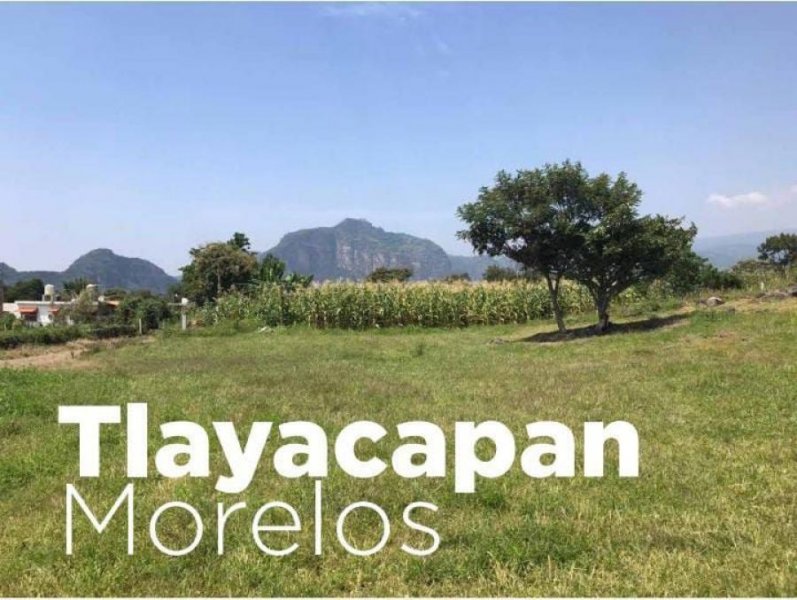 Terreno en Venta en Residencial Asunción Tlayacapan, Morelos