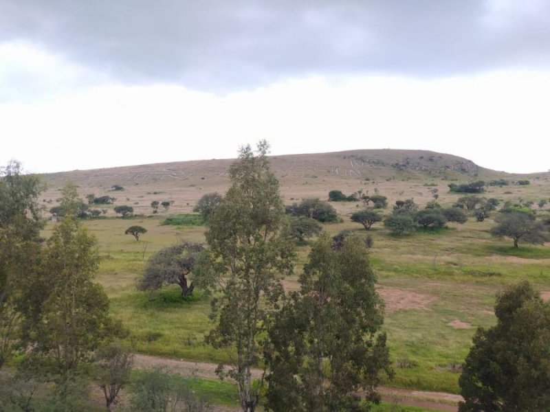 Rancho en Venta en Tequisquiapan Tequisquiapan, Queretaro Arteaga