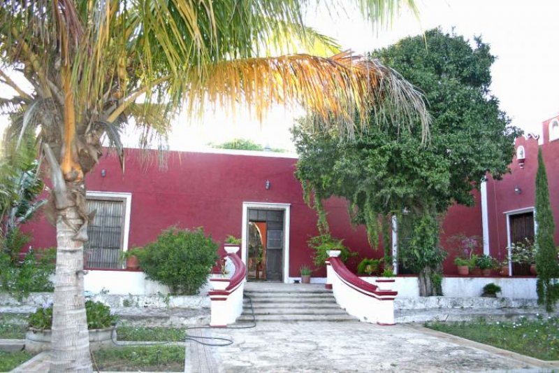 Foto Rancho en Venta en Dzemul, Yucatan - 264 hectareas - $ 12.000.000 - RAV15554 - BienesOnLine