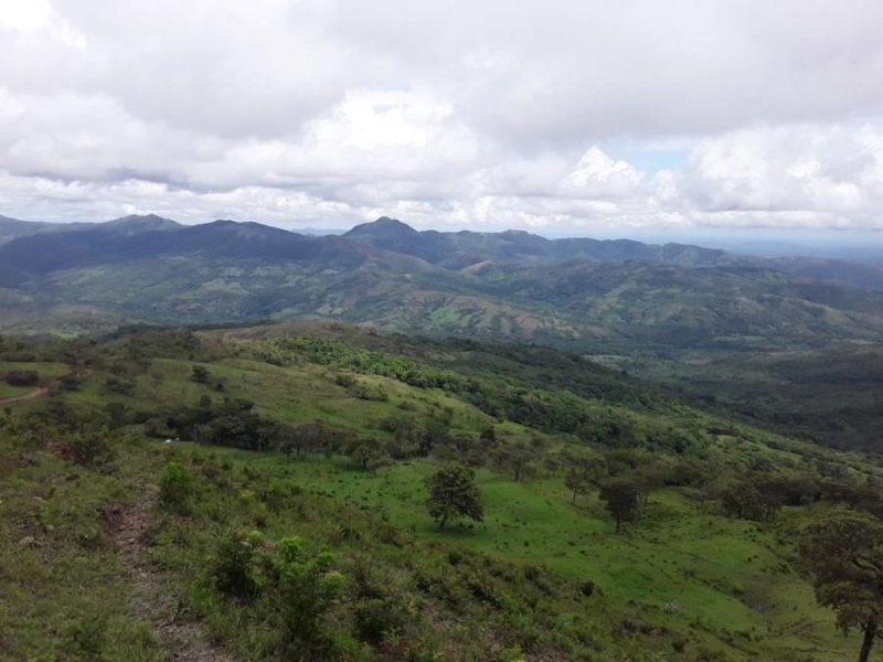 Terreno en Venta en  Cartagena, Aguascalientes