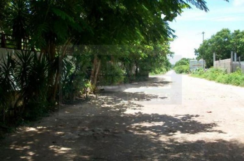 Foto Terreno en Venta en Tulum, Quintana Roo - $ 1.097.000 - TEV38178 - BienesOnLine