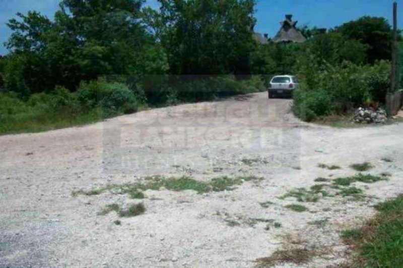 Foto Terreno en Venta en Tulum, Quintana Roo - U$D 75 - TEV35313 - BienesOnLine