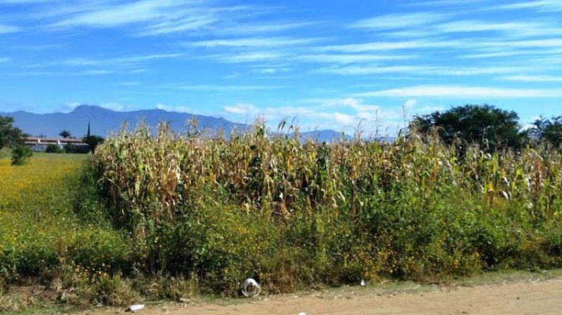 Foto Terreno en Venta en Villas Laureles, Santa Cruz Xoxocotlán, Oaxaca - $ 7.857.187 - TEV186409 - BienesOnLine