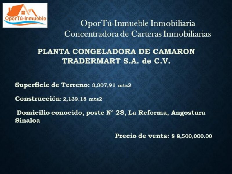 Foto Terreno en Venta en Culiacán Rosales, Sinaloa - $ 8.500.000 - TEV214568 - BienesOnLine