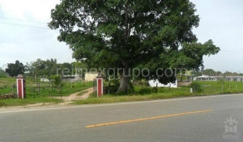 Foto Granja en Venta en Centro, Peto, Yucatan - $ 3.900.000 - GRV148095 - BienesOnLine