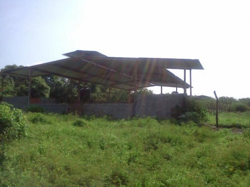 Foto Granja en Venta en Colmala, Comala, Colima - $ 1.500.000 - GRV46017 - BienesOnLine