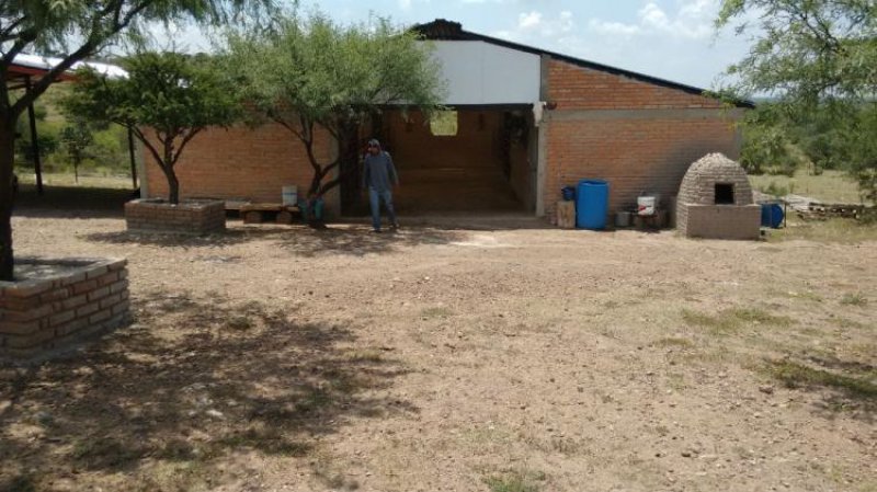 Foto Granja en Venta en SAN VICENTE, Asientos, Aguascalientes - $ 550.000 - GRV170252 - BienesOnLine