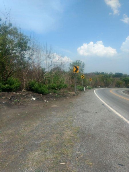 Foto Terreno en Venta en paso de ovejas, en paso de ovejas, Veracruz - 60 hectareas - $ 250.000 - TEV276992 - BienesOnLine