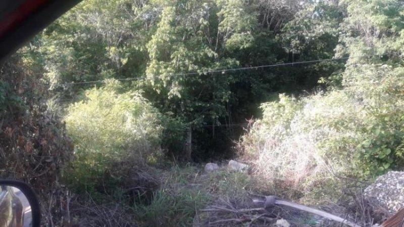 Foto Terreno en Venta en Tulum, Quintana Roo - $ 2.000.000 - TEV230365 - BienesOnLine