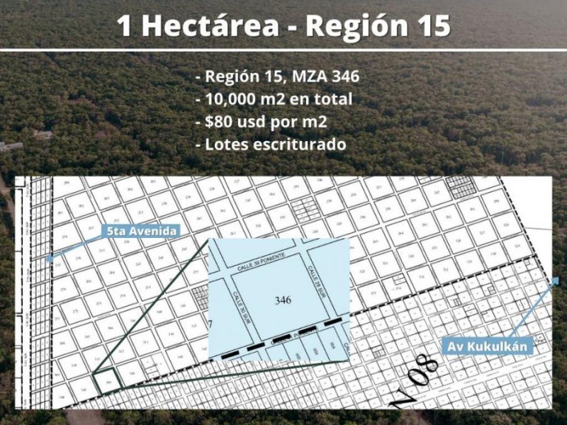 Foto Terreno en Venta en Tulum, Quintana Roo - U$D 800.000 - TEV328512 - BienesOnLine