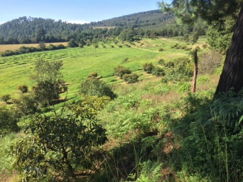 Foto Rancho en Venta en Pátzcuaro, Michoacan de Ocampo - $ 3.700.000 - RAV186368 - BienesOnLine