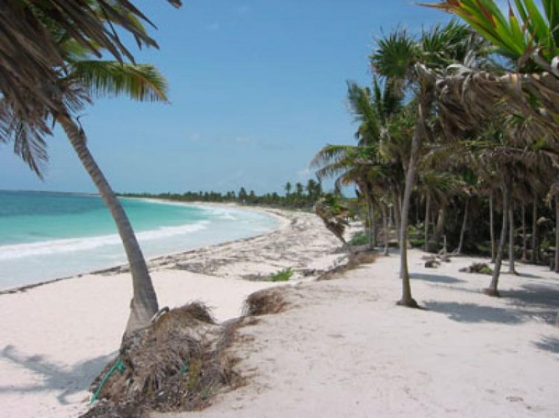 Foto Terreno en Venta en Tulum, Quintana Roo - U$D 550.000 - TEV28946 - BienesOnLine