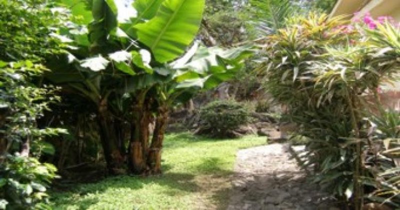 Foto Terreno en Venta en SAN ANTON, Cuernavaca, Morelos - $ 3.500.000 - TEV11778 - BienesOnLine