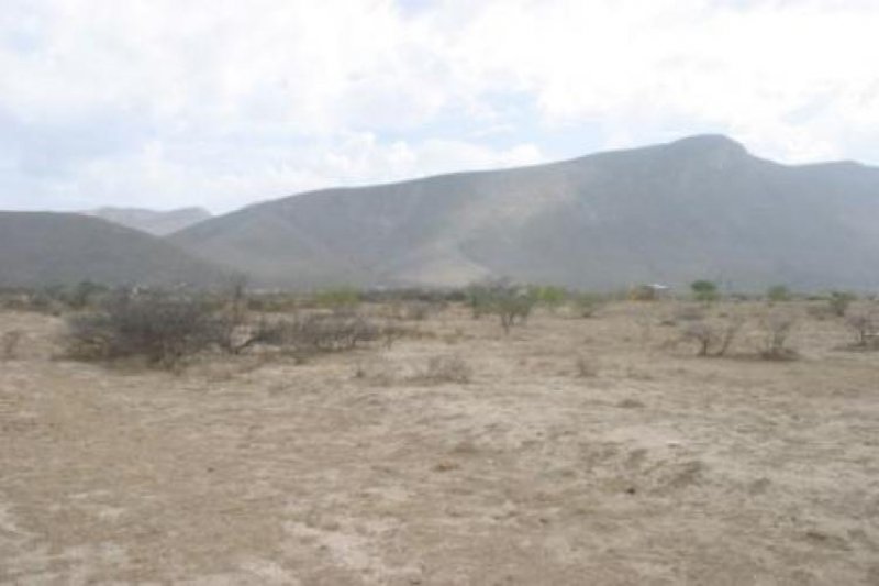 Foto Terreno en Venta en cerca  de   Arteaga, Arteaga, Coahuila de Zaragoza - $ 400.000 - TEV11761 - BienesOnLine