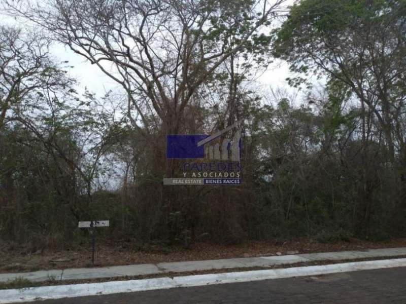 Terreno en Venta en ixtapa Zihuatanejo, Guerrero