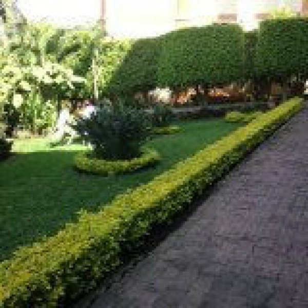 Foto Casa en Venta en Junto al Río, Cuernavaca, Morelos - $ 3.500.000 - CAV153002 - BienesOnLine