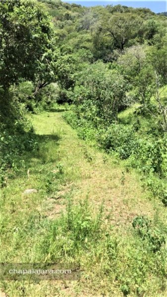 Terreno en Venta en El Limón Jocotepec, Jalisco