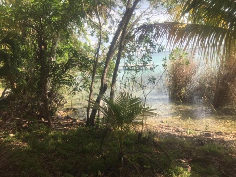 Laguna de Bacalar  Terreno en venta en Buena Vista