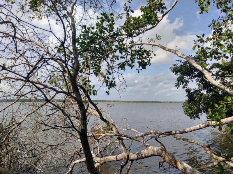 Foto Terreno en Venta en Laguna San Felipe, Bacalar, Quintana Roo - $ 1.500.000 - TEV353018 - BienesOnLine