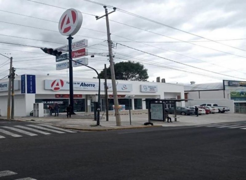 Local en Reforma Sur (zona: Forjadores, Puente de México, La Libertad).