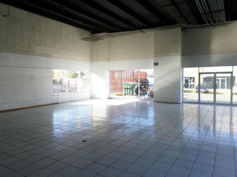 Foto Local en Renta en Blvd. Diaz Ordaz, Entre Avenida Las Fuentes y La Z, Tijuana, Baja California - U$D 1.650 - LOR117358 - BienesOnLine