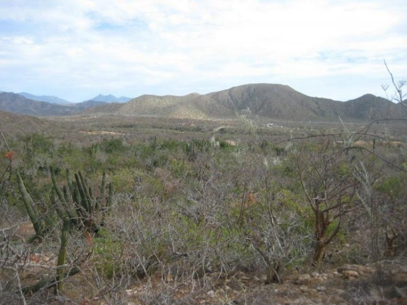 Foto Terreno en Venta en Los Cerritos, El Pescadero, Baja California Sur - U$D 19.900 - TEV116750 - BienesOnLine