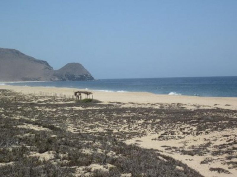 Foto Terreno en Venta en La Cachora, Todos Santos, Baja California Sur - U$D 99.500 - TEV197183 - BienesOnLine