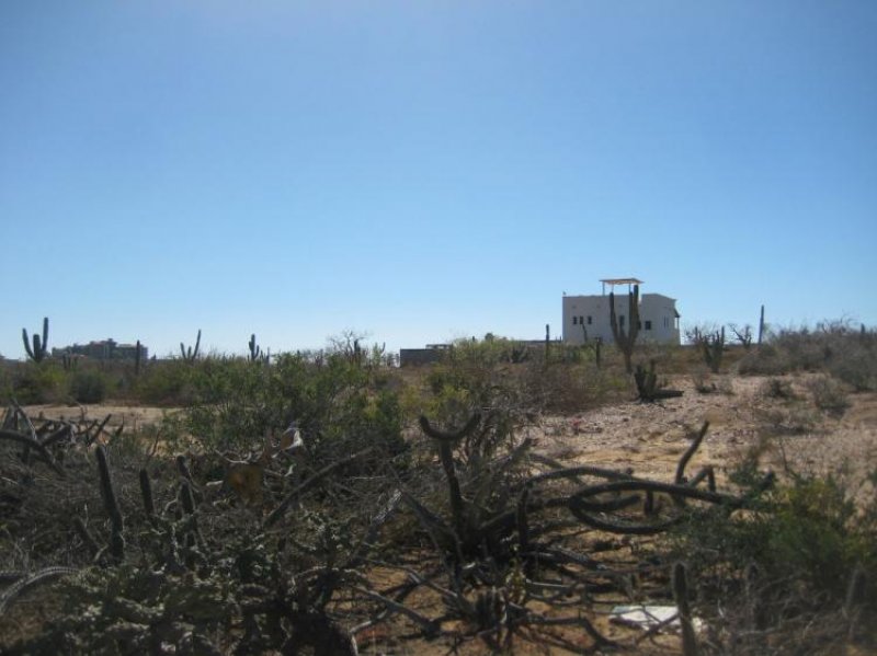 Foto Terreno en Venta en Los Cerritos, El Pescadero, El Pescadero, Baja California Sur - U$D 19.900 - TEV116755 - BienesOnLine