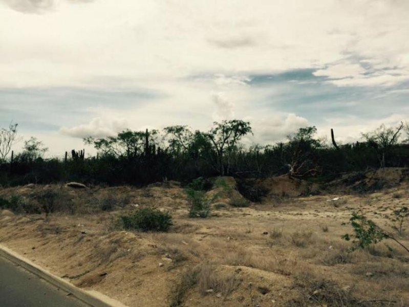 Foto Terreno en Venta en Cabo San Lucas, Baja California Sur - 3 hectareas - U$D 125 - TEV173352 - BienesOnLine