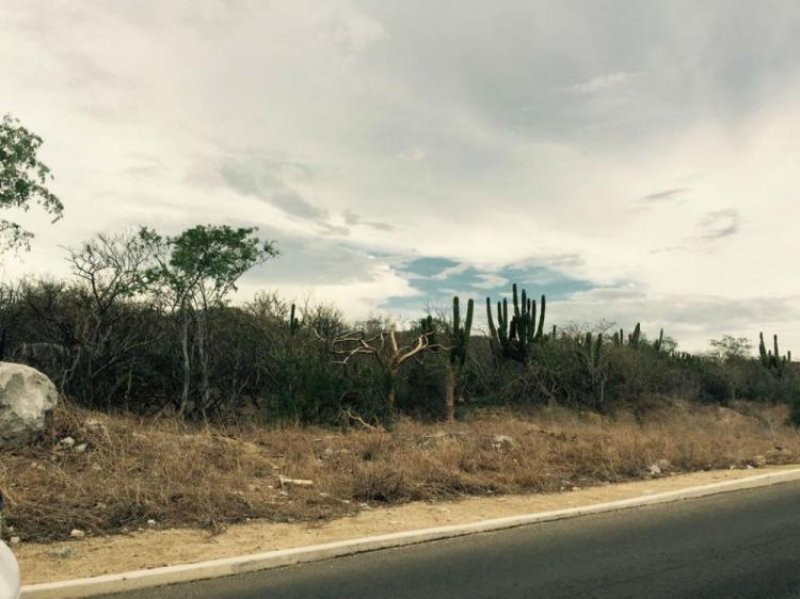 Foto Terreno en Venta en Cabo San Lucas, Baja California Sur - 3 hectareas - U$D 125 - TEV174055 - BienesOnLine