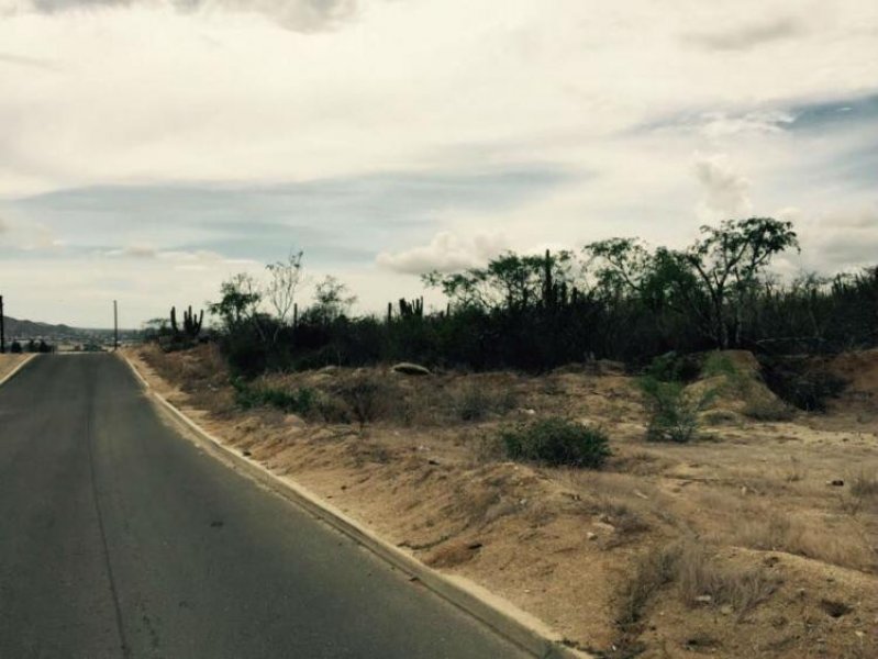 Foto Terreno en Venta en Cabo San Lucas, Baja California Sur - U$D 125 - TEV200492 - BienesOnLine