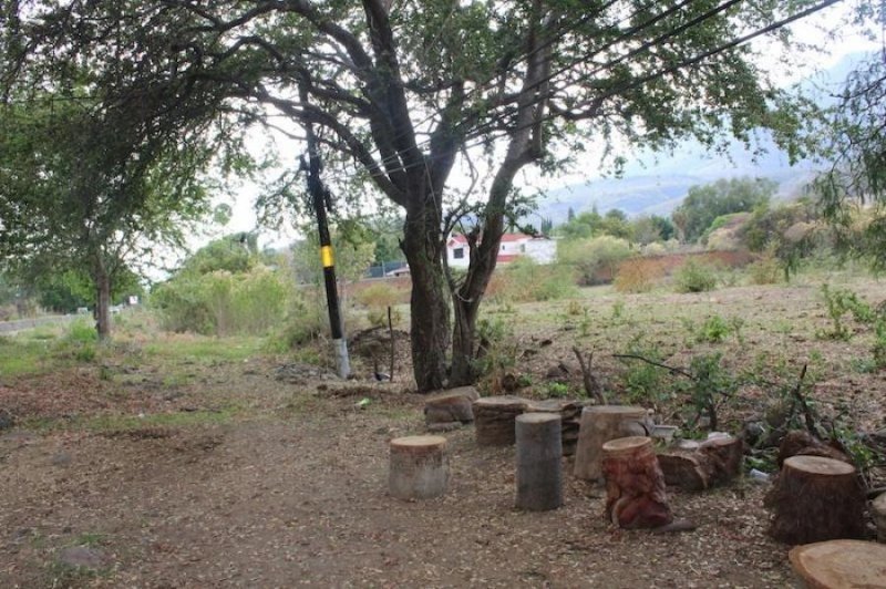 Foto Terreno en Venta en West Ajijic, Ajijic, Jalisco - $ 7.722.218 - TEV257807 - BienesOnLine