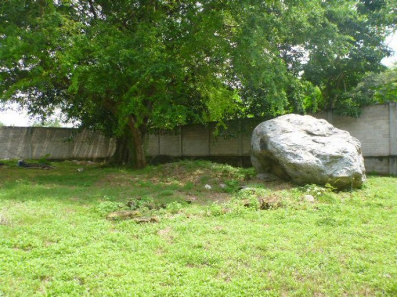 Foto Terreno en Venta en Cruz de Huanacaxtle, Nayarit - $ 2.500.000 - TEV157691 - BienesOnLine