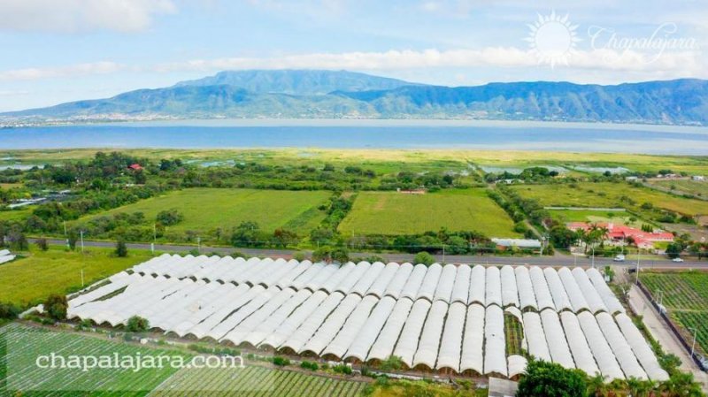 Terreno en Venta en San Cristóbal, Zapotitlán Jocotepec, Jalisco